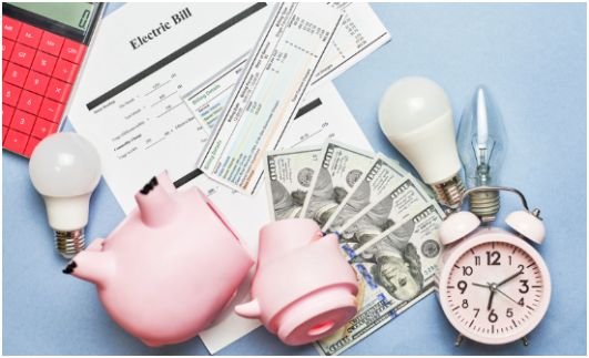 Match Bills to Paychecks